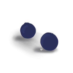 blueberries