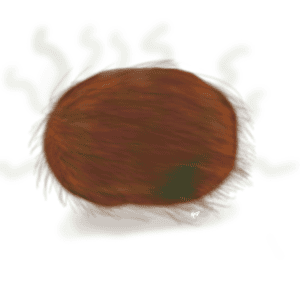 is it a hairy pumpkin, or a fuzzy pumpkin?